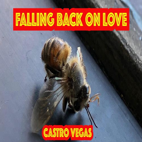 FALLING BACK ON LOVE (Explicit)