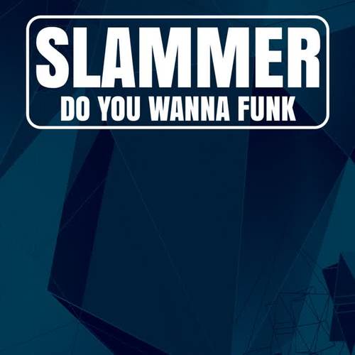 Do You Wanna Funk