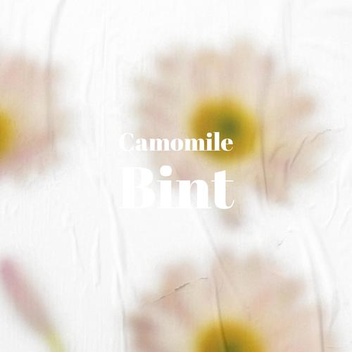 Camomile Bint