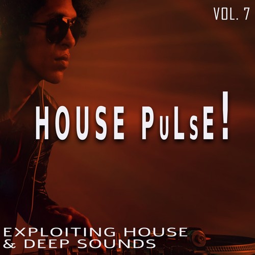 House Pulse!, Vol. 7