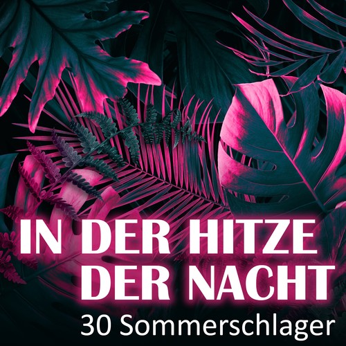 In der Hitze der Nacht - 30 Sommerschlager