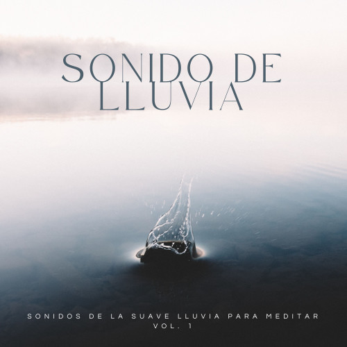 Sonido De Lluvia: Sonidos De La Suave Lluvia Para Meditar Vol. 1