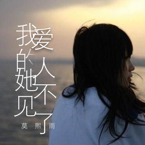 我爱的人她不见了
