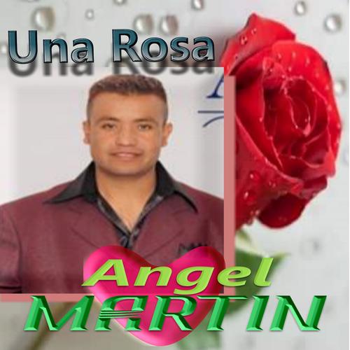 Una Rosa