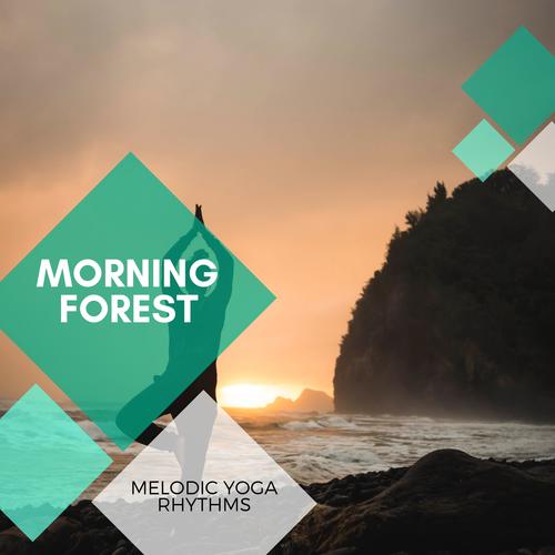 Morning Forest - Melodic Yoga Rhythms