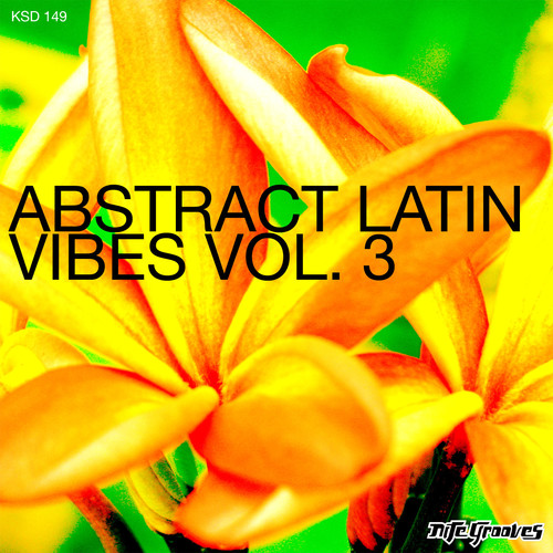 Abstract Latin Vibes, Vol. 3