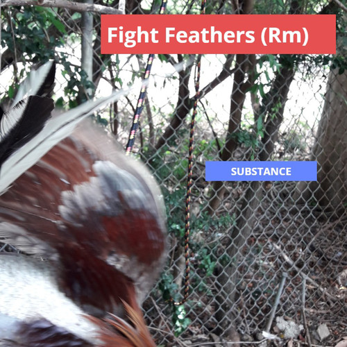 Fight Feathers (Rm)