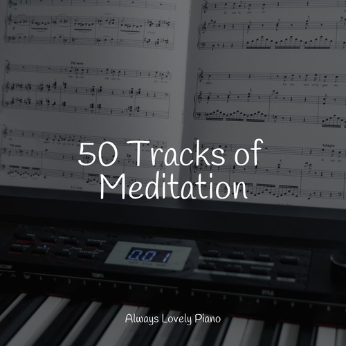 50 Tracks of Meditation