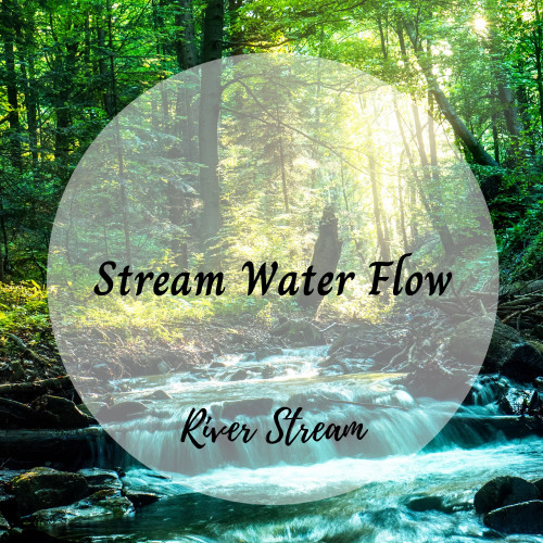 River Stream: Stream Water Flow