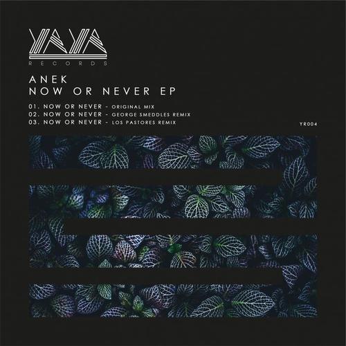 Now Or Never EP