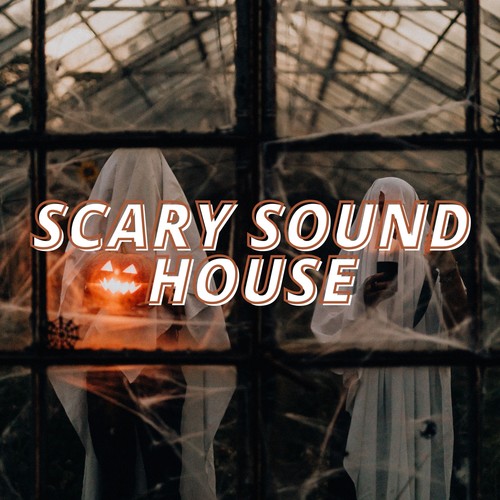 Scary Sound House