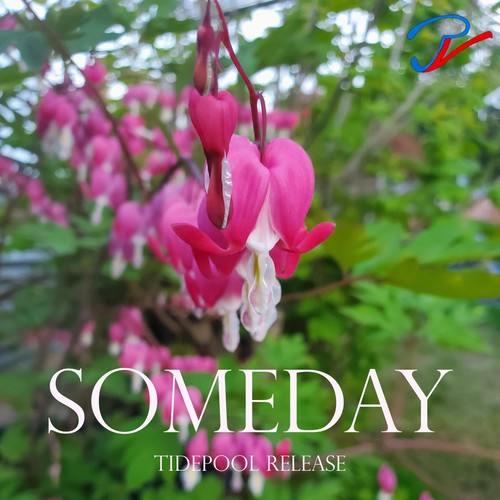 Someday (Tidepool Release)