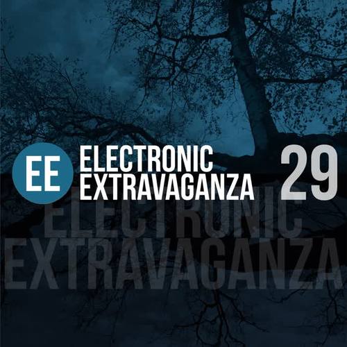 Electronic Extravaganza, Vol. 29