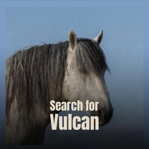 Search for Vulcan