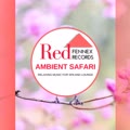 Ambient Safari - Relaxing Music For Spa And Lounge