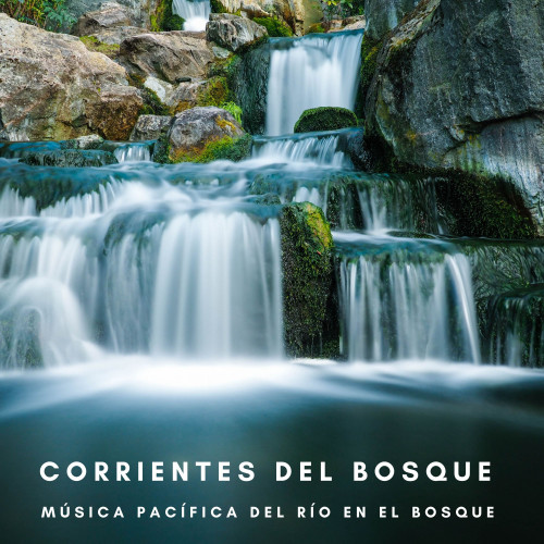 Corrientes Del Bosque: Música Pacífica Del Río En El Bosque