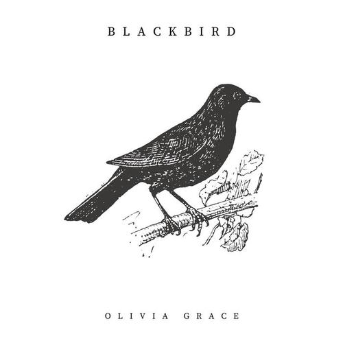 Blackbird