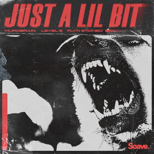 Just A Lil Bit (Explicit)