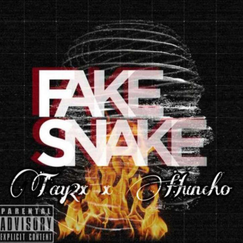 Fake Snake (Explicit)