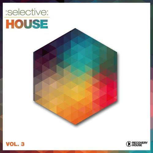 Selective: House, Vol. 3