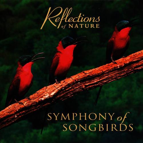 Symphony of Songbirds