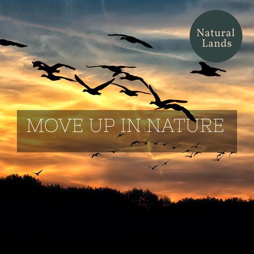 Move Up in Nature