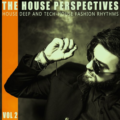 The House Perspectives - Vol.2