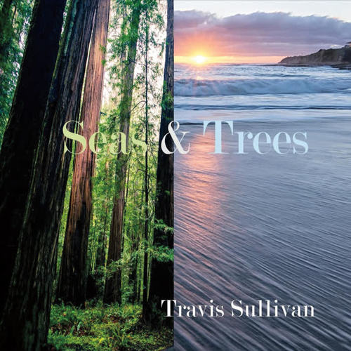 Seas & Trees (feat. Dave Berger & John Menegon)