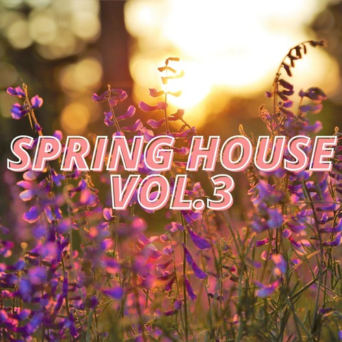 Spring House Vol.3