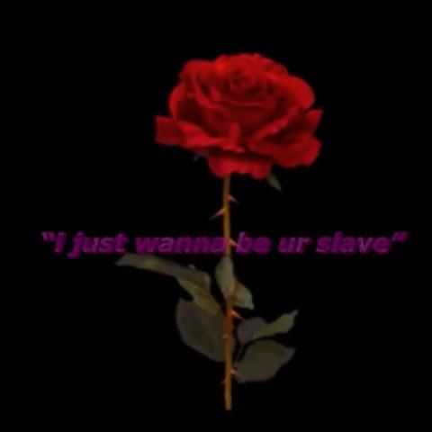“i just wanna be your salve”