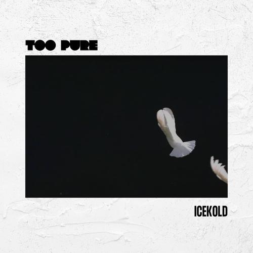 Too Pure (Explicit)