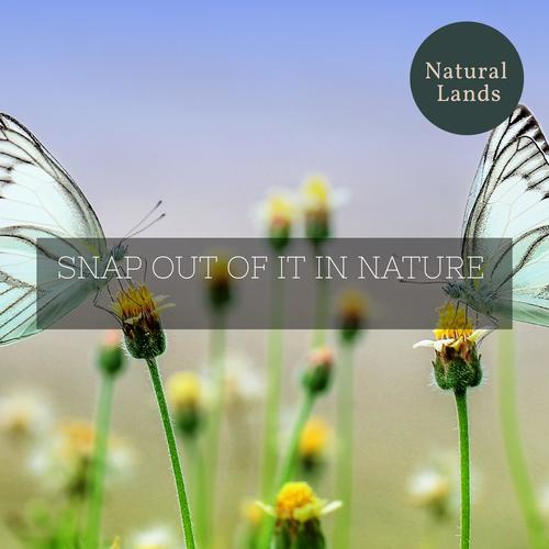 Snap Out of it in Nature