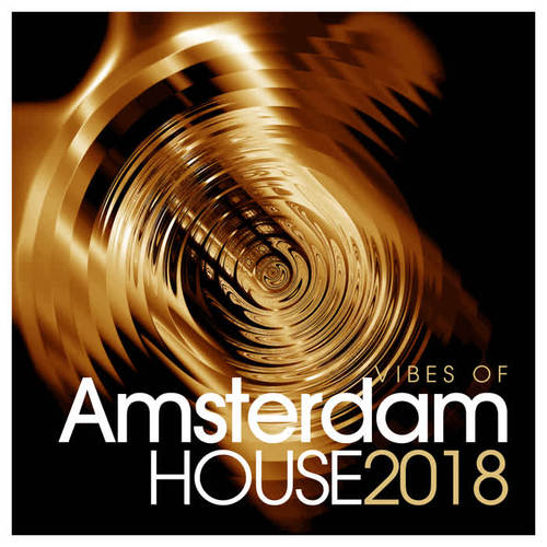 VIBES OF AMSTERDAM HOUSE 2018