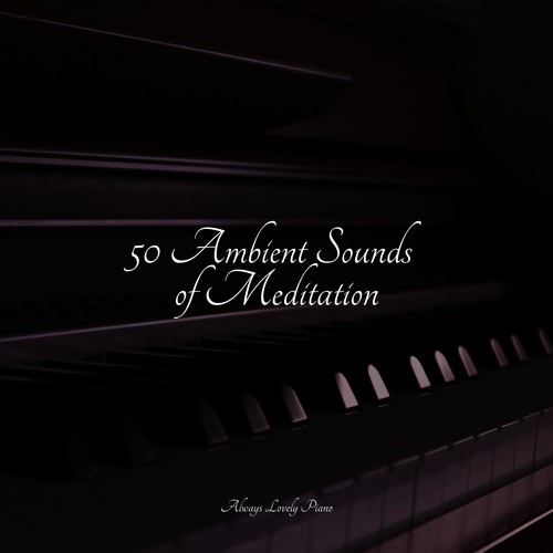 50 Ambient Sounds of Meditation