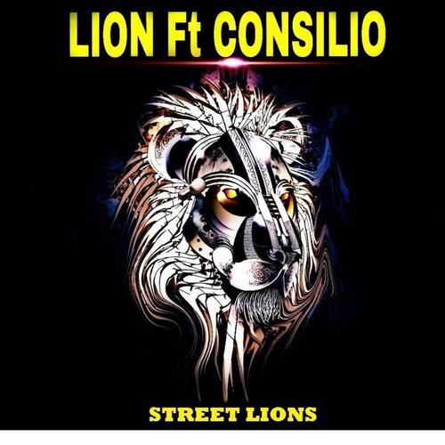 Street Lions