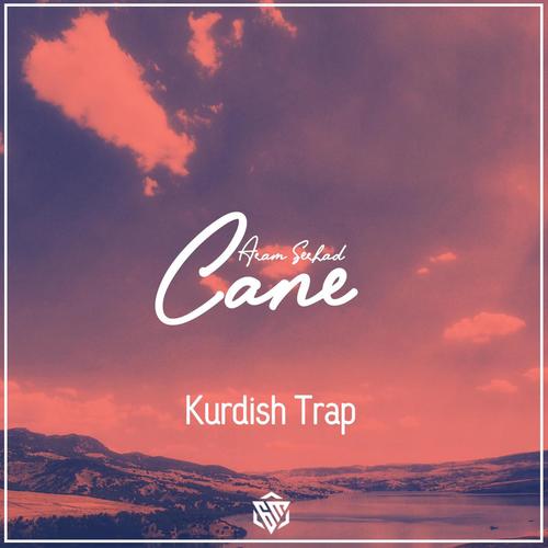 Cane (feat. Aram Serhad) [Explicit]