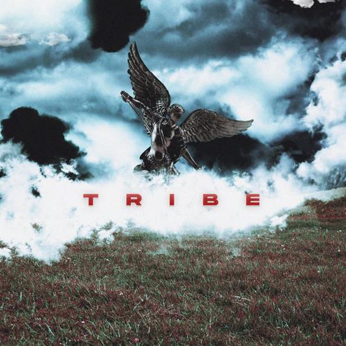 Tribe