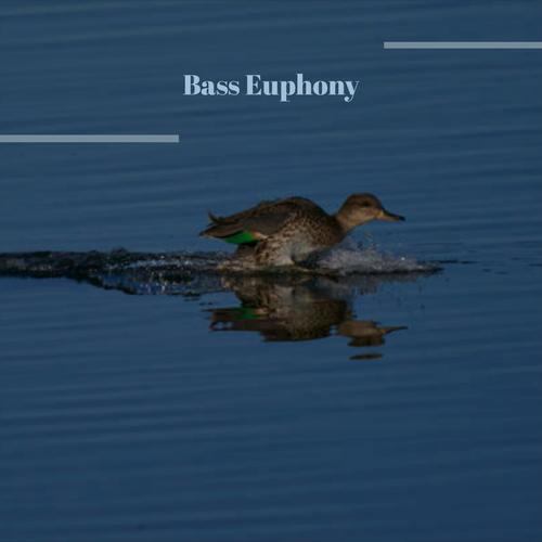 Bass Euphony