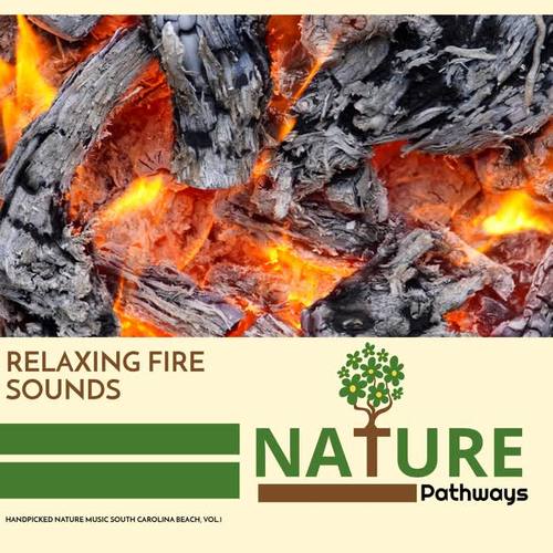 Relaxing Fire Sounds - Handpicked Nature Music South Carolina Beach, Vol.1