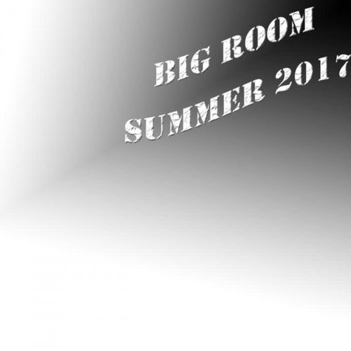 Big Room Summer 2017