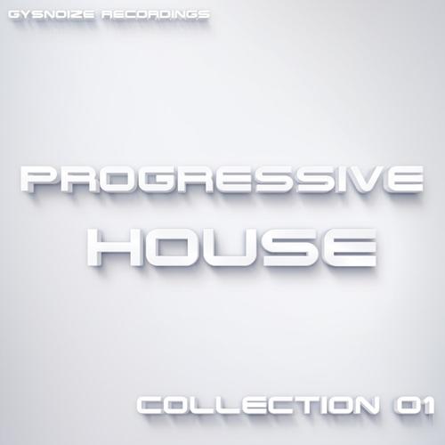 Progressive House Collection 01