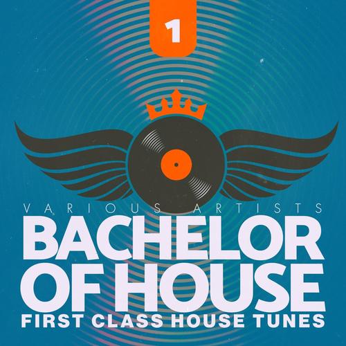 Bachelor of House, Vol. 1