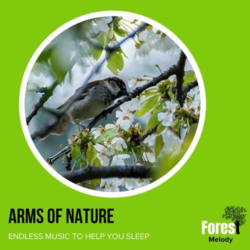 Arms of Nature - Endless Music to Help You Sleep