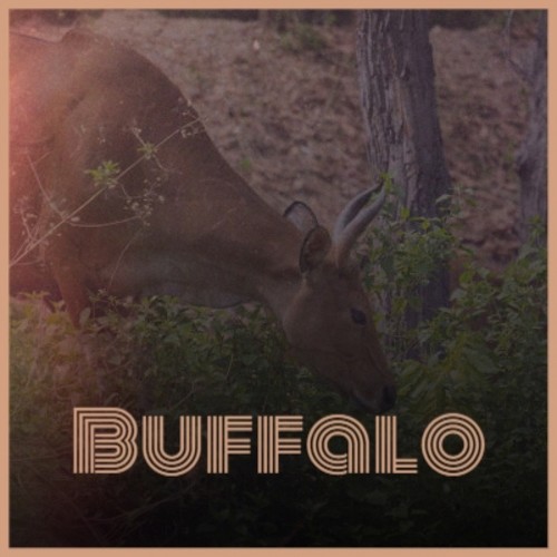 Buffalo