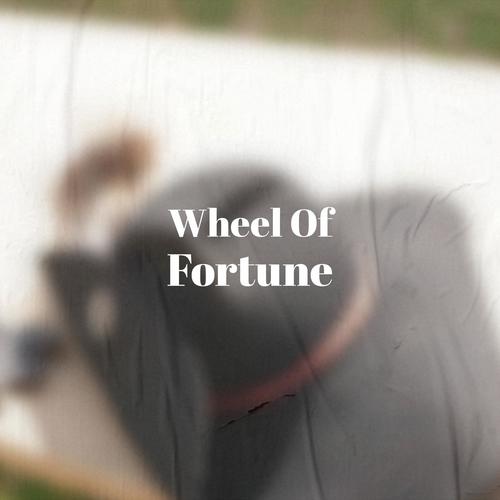 Wheel Of Fortune