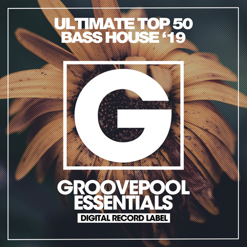 Ultimate Top 50 Bass House (Summer '19)