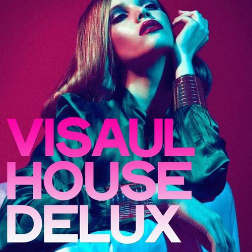 Visaul House Delux