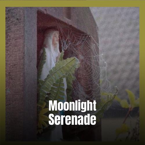 Moonlight Serenade