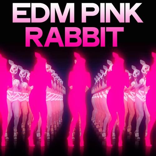 EDM Pink Rabbit (Electronic Dance Music 2020)