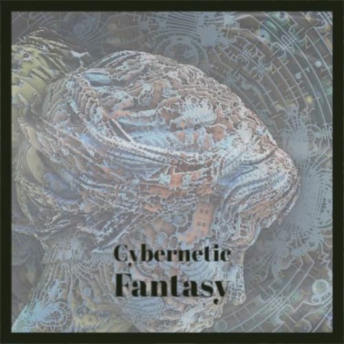 Cybernetic Fantasy